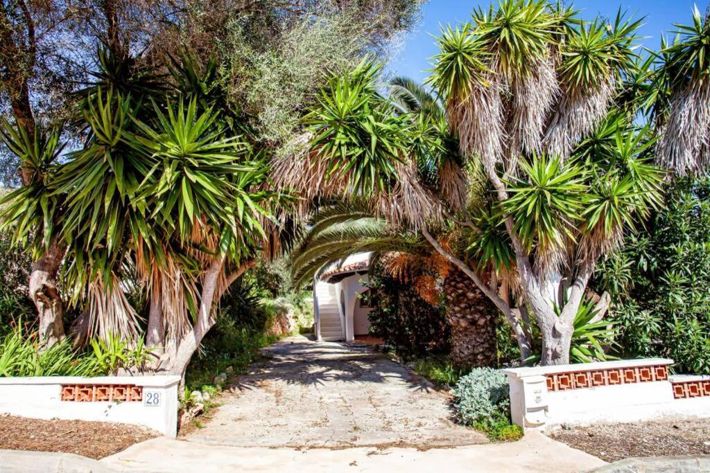 Villa Cecylia Es Canutells Εξωτερικό φωτογραφία